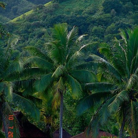 Tauhanihani Village Lodge La Vague Bleue Teahupoo Екстер'єр фото