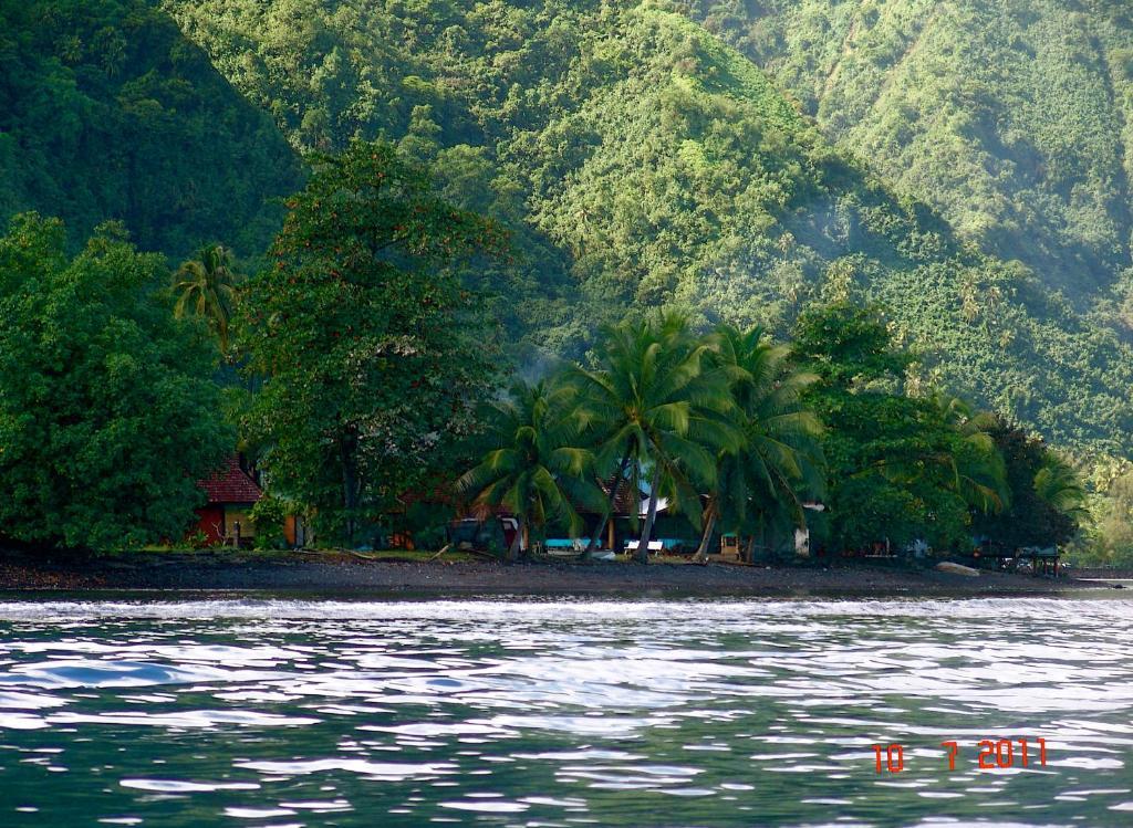 Tauhanihani Village Lodge La Vague Bleue Teahupoo Екстер'єр фото